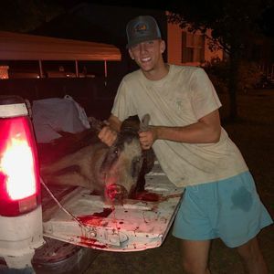 Meet your Posher, Cody